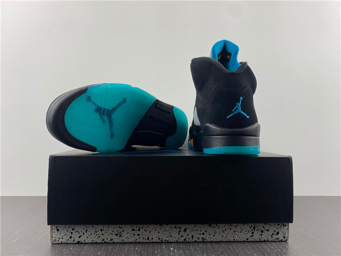 Jordan 5  Aqua DD0587-047