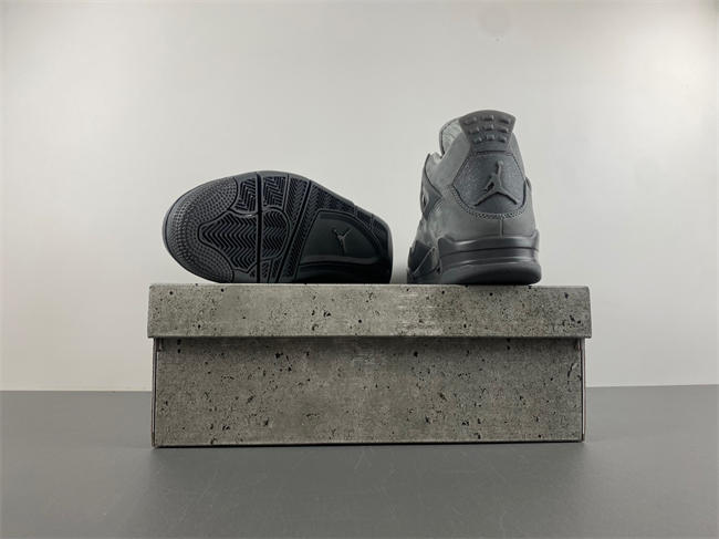 Air Jordan 4 SE “Paris Olympics” FQ7928-001